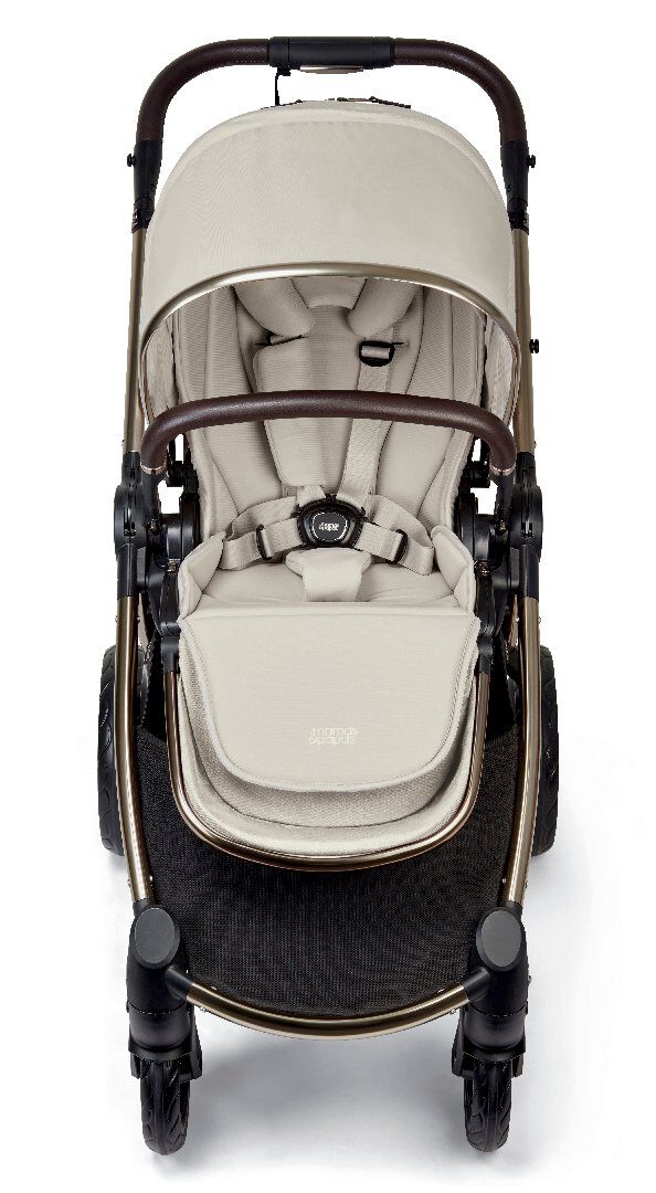 OCARRO - TREASURED (AT) image number 8