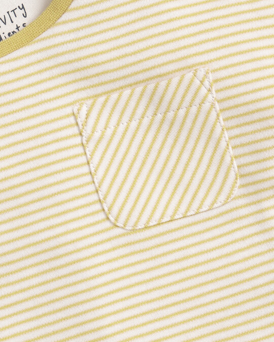 Striped Short Sleeve T-Shirt image number 3
