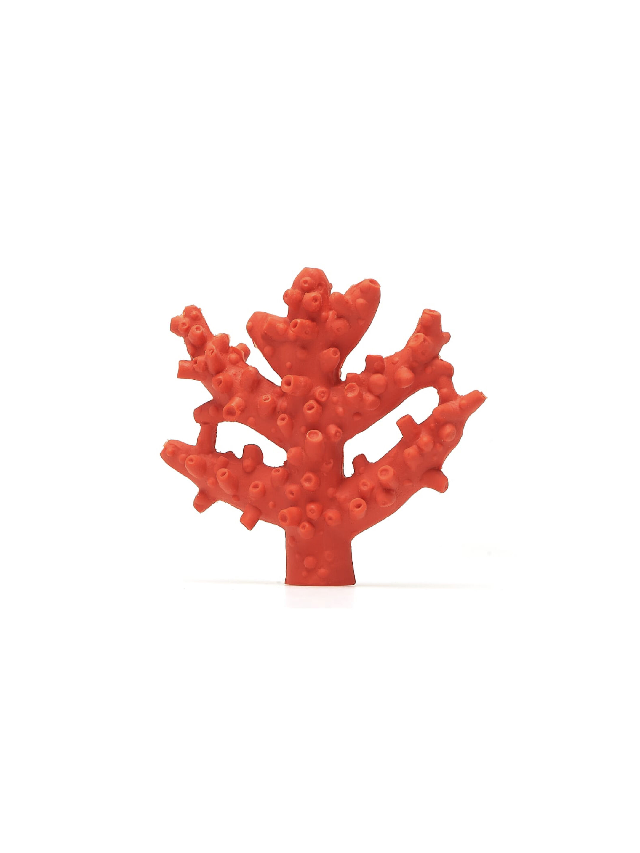 Coral Teether by Lanco