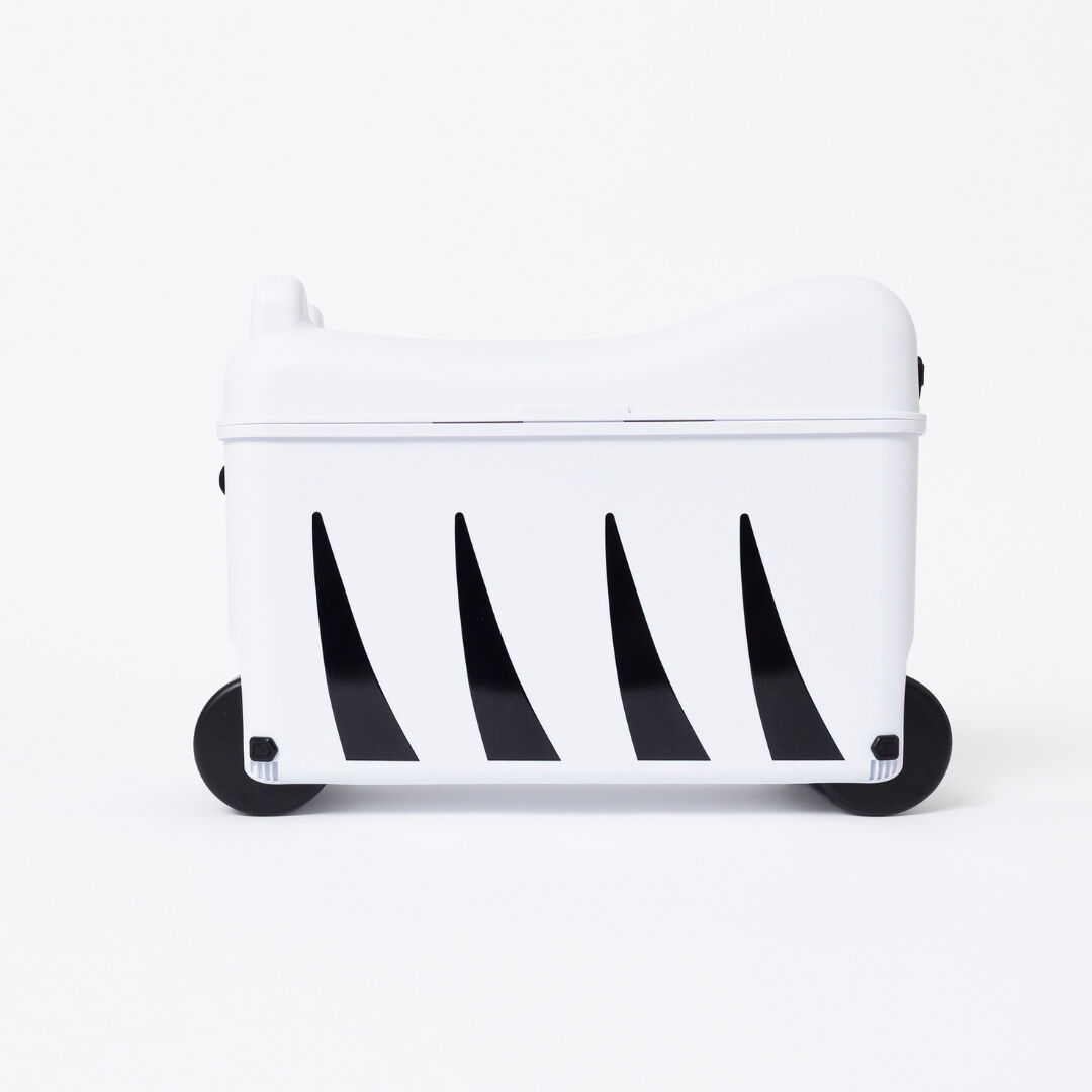 Little Rolla Zebra image number 4