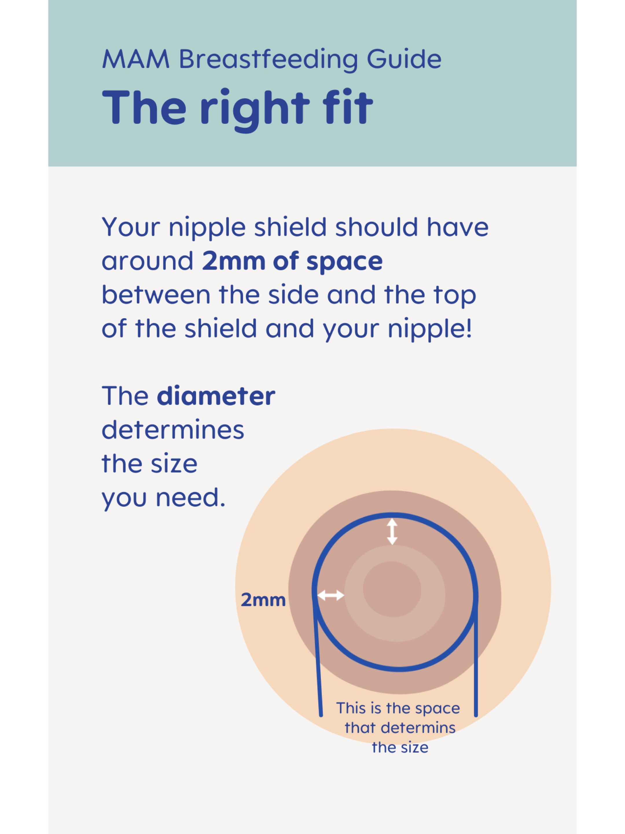 Mam Baby Nipple Shield  Breastfeeding - 0 M+ | Clear  Clear  - Size- L | Pack of 3 image number 7