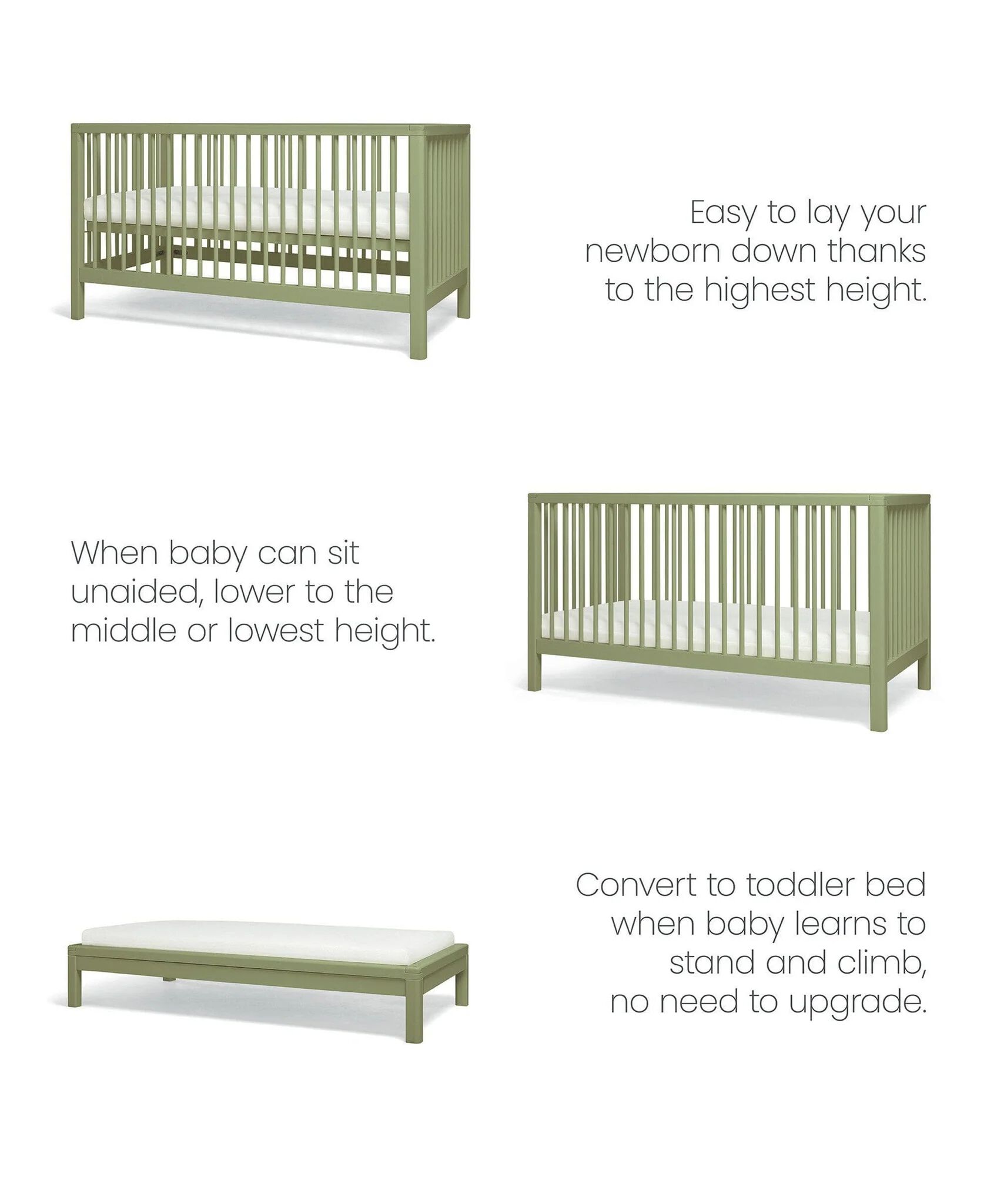 Compact Solo Cotbed - Moss Green image number 2