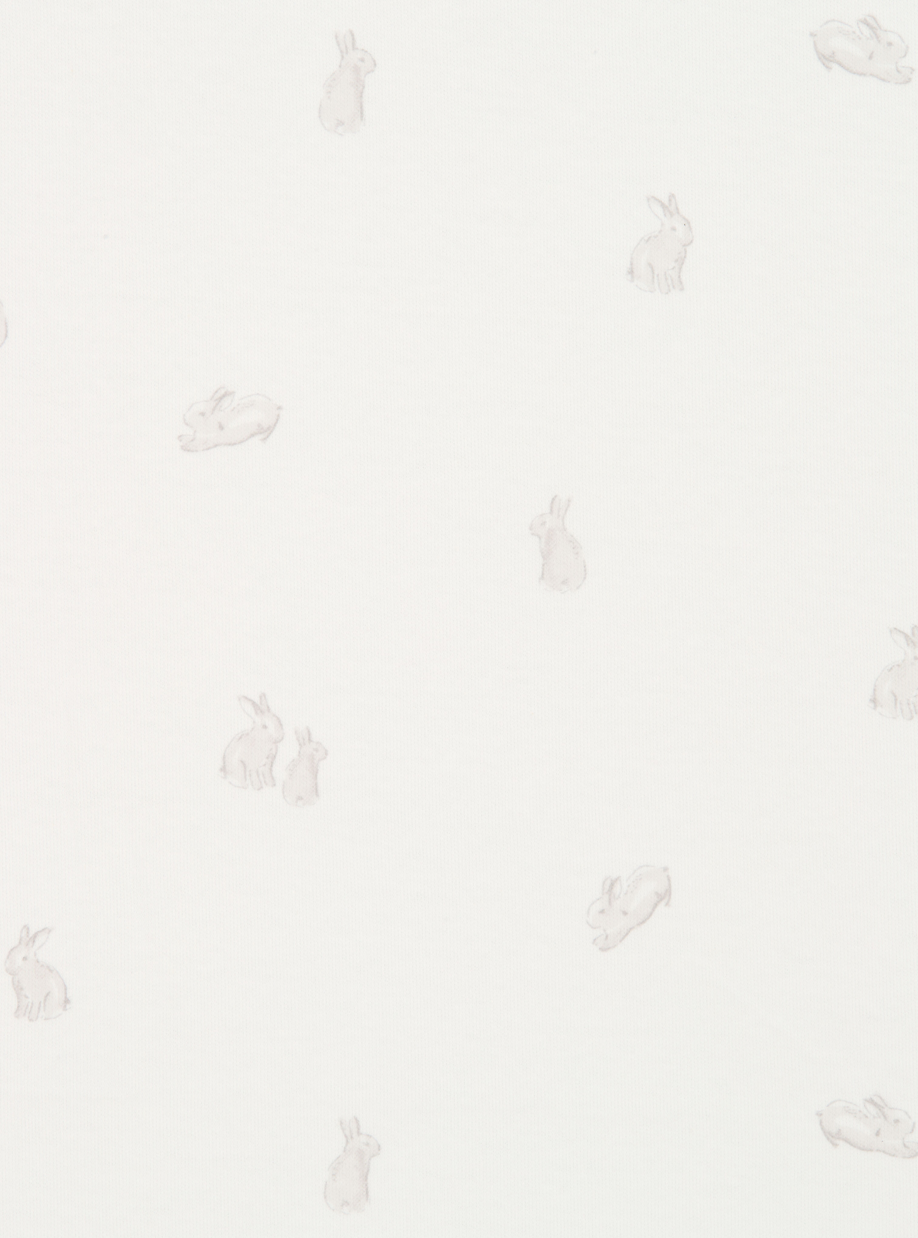 2 Cot/Bed Fitted Sheets - Bunny image number 3