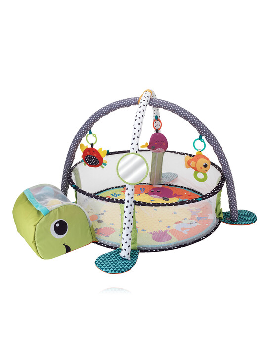 Infantino Grow-With-Me Activity Gym & Ball Pit image number 1
