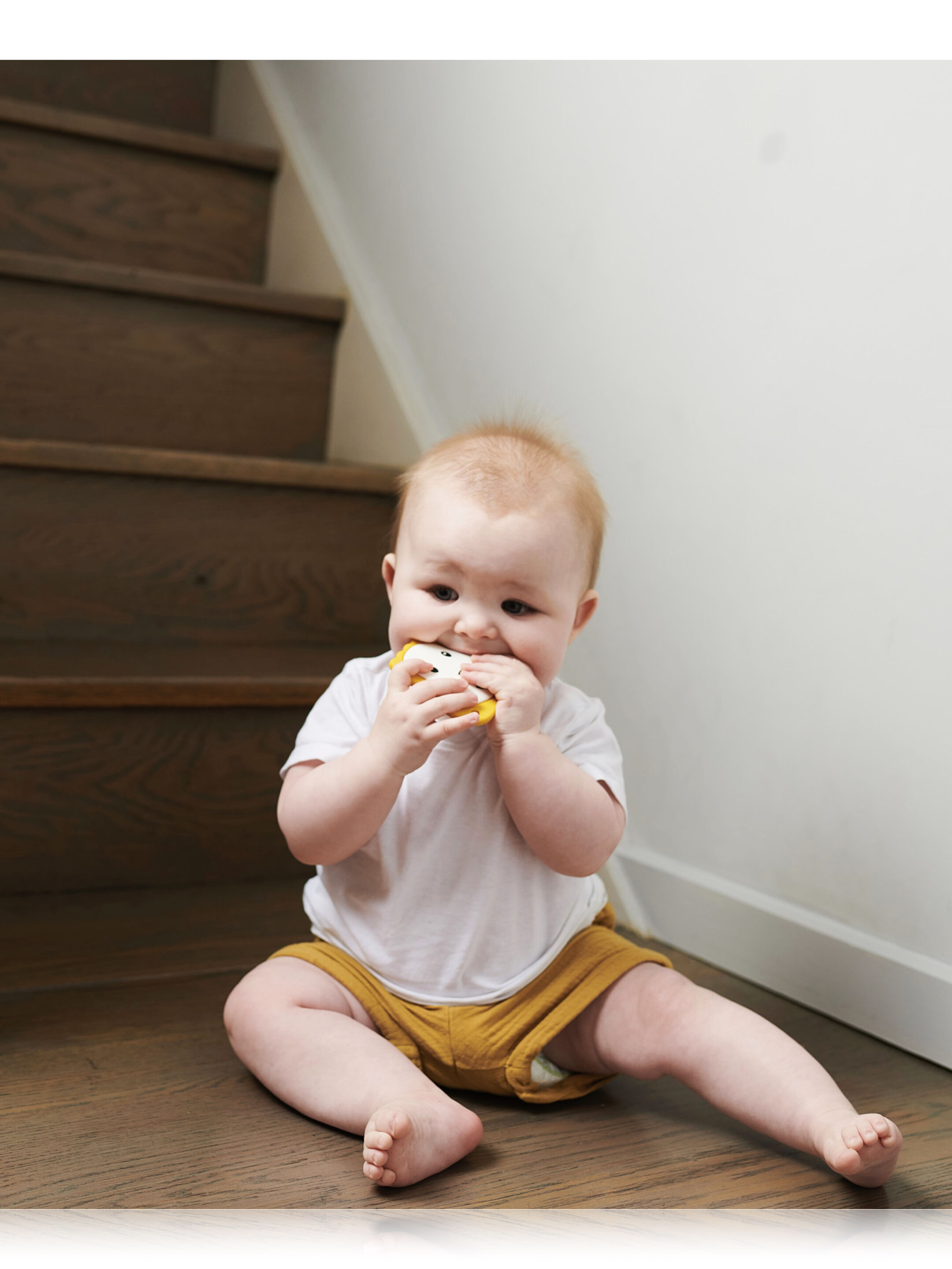 Matchstick Monkey Flat Face Teether - Lion image number 3