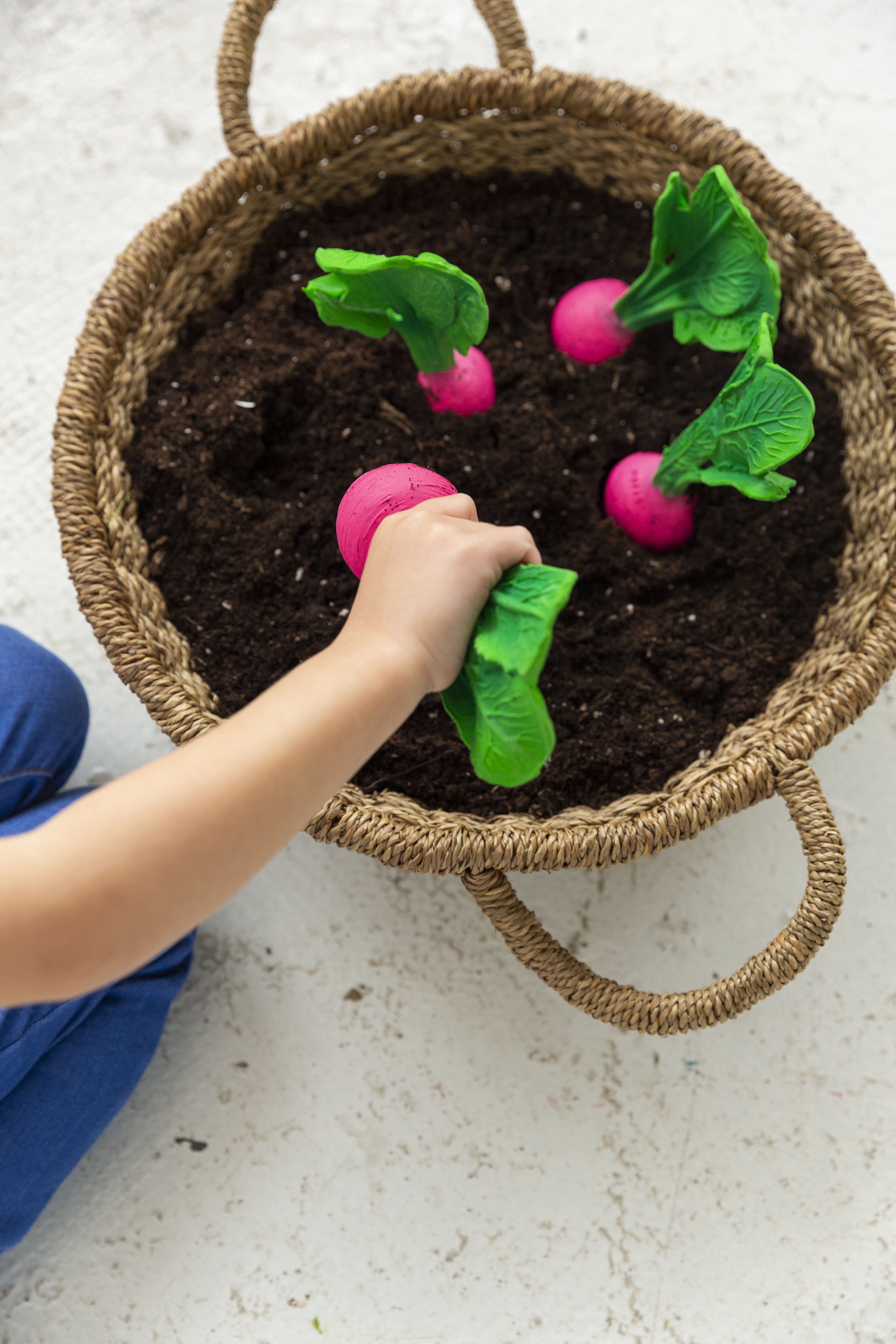 Oli & Carol Ramona The Radish image number 4
