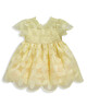 Organza Floral Lace Dress image number 1