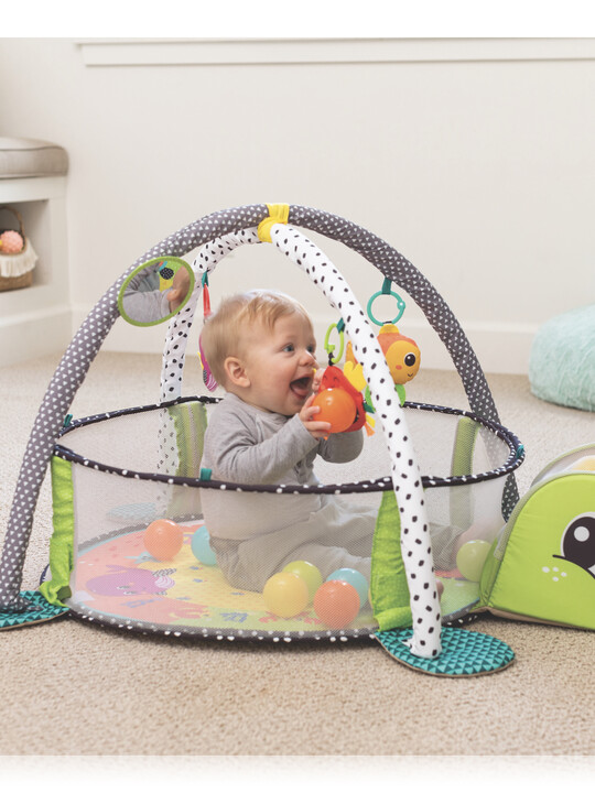 Infantino Grow-With-Me Activity Gym & Ball Pit image number 5