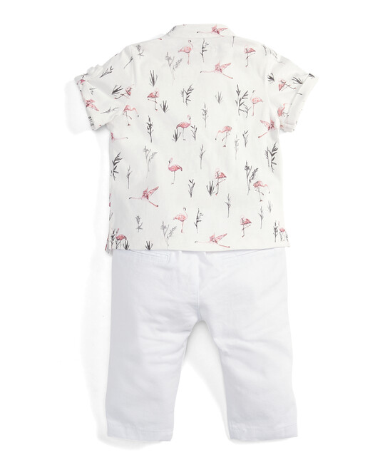 Flamingo Polo Shirt & Chinos Set - 2 Piece image number 2