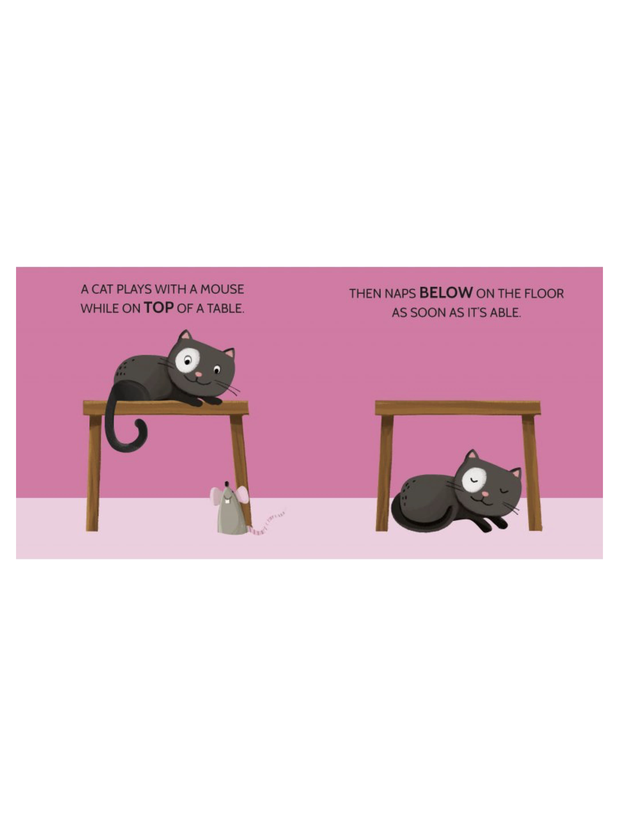 Sassi Book and Puzzles - Opposites image number 5