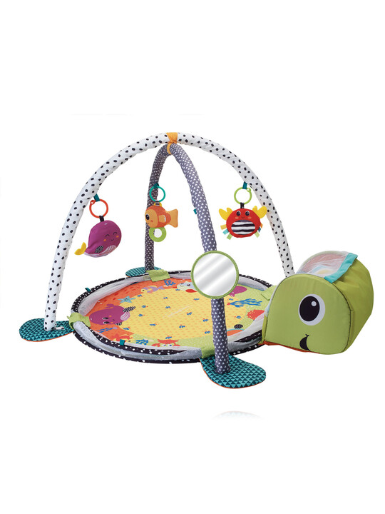 Infantino Grow-With-Me Activity Gym & Ball Pit image number 2