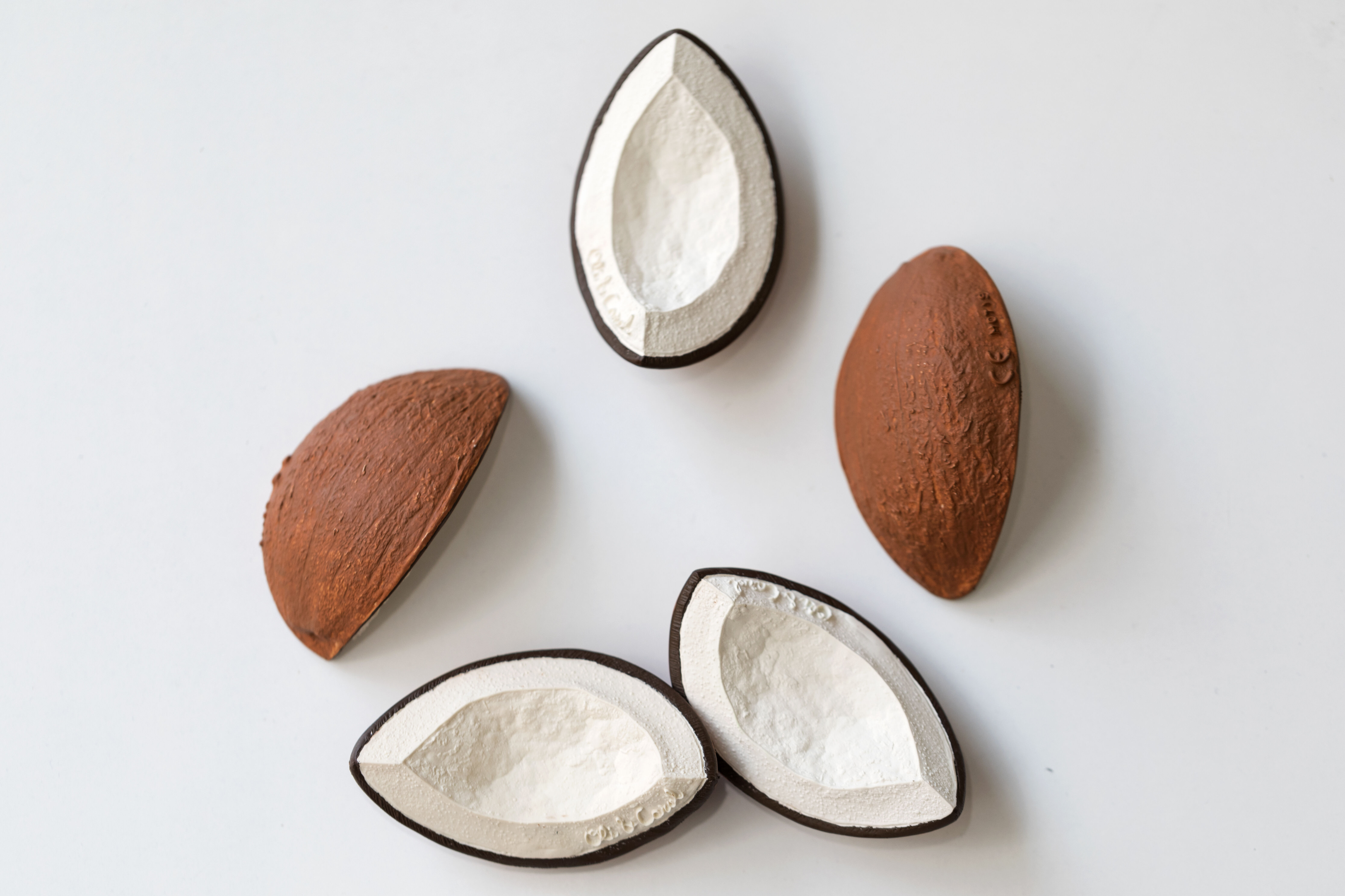 Oli & Carol Coco The Coconut image number 5