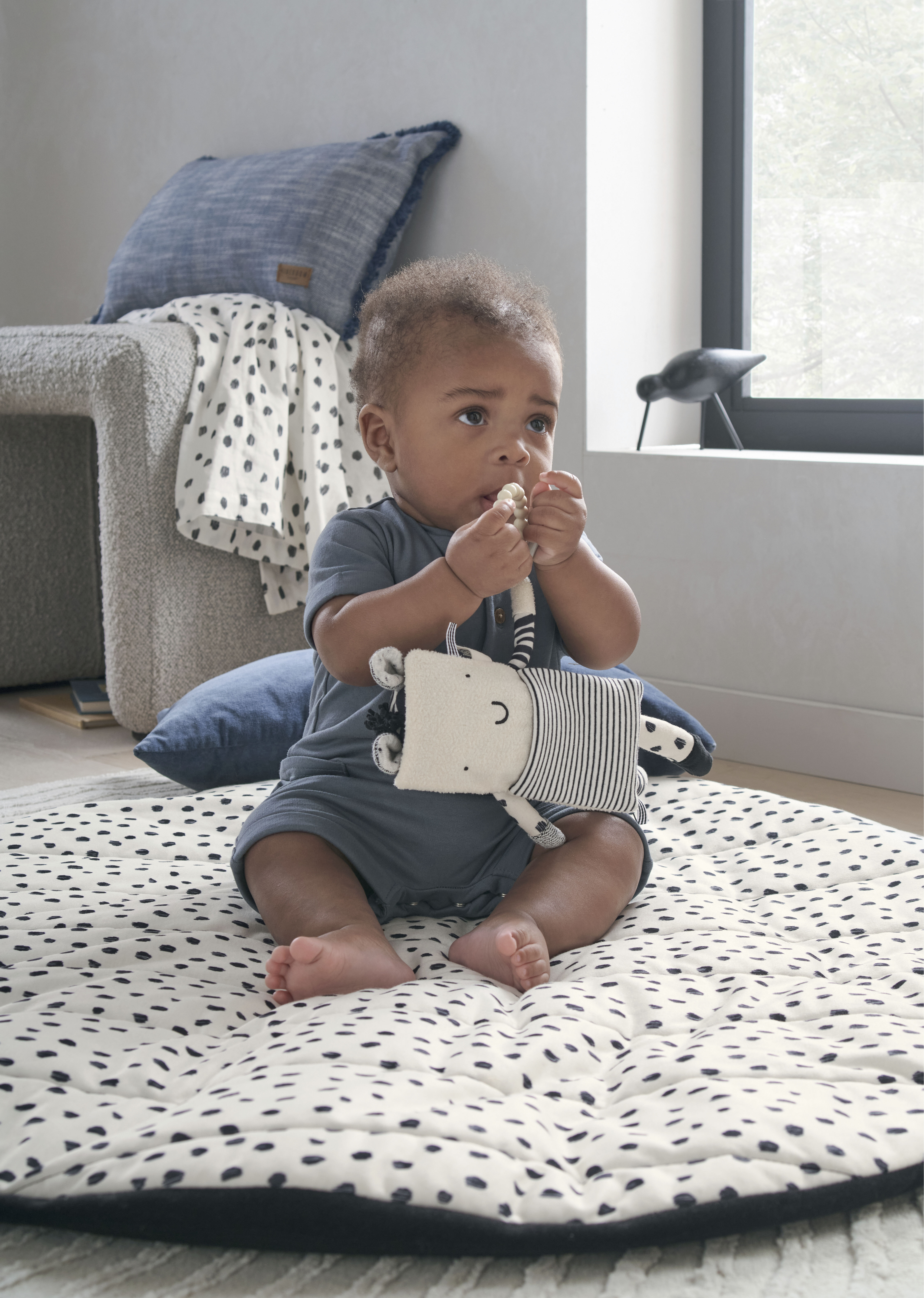 Another Fox - Activity Zebra image number 2