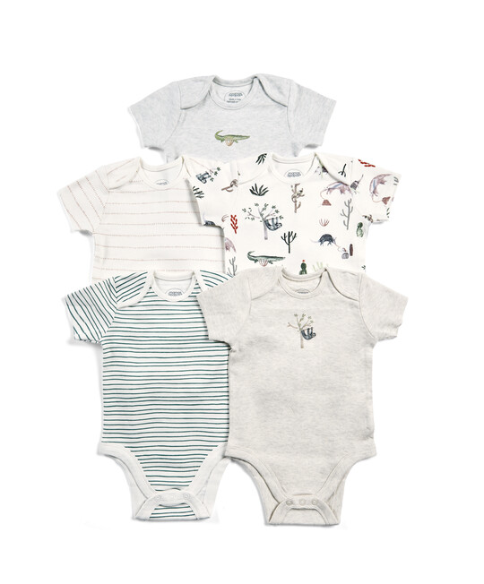 Boys Bodysuits - Mixed 5 Pack image number 1