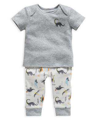 Dinosaur Print Jersey Pyjamas