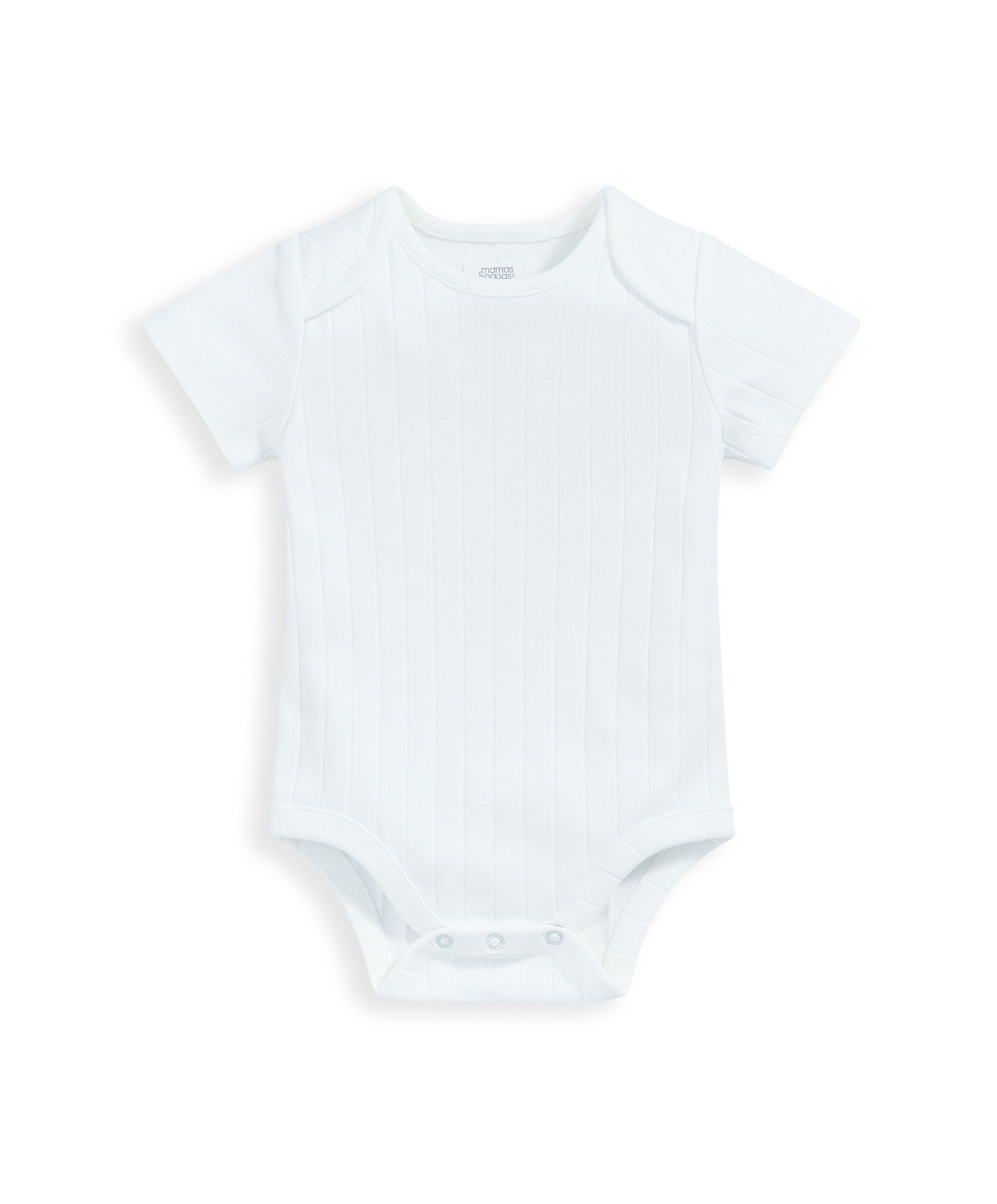 4 Piece Whale Starter Set image number 3