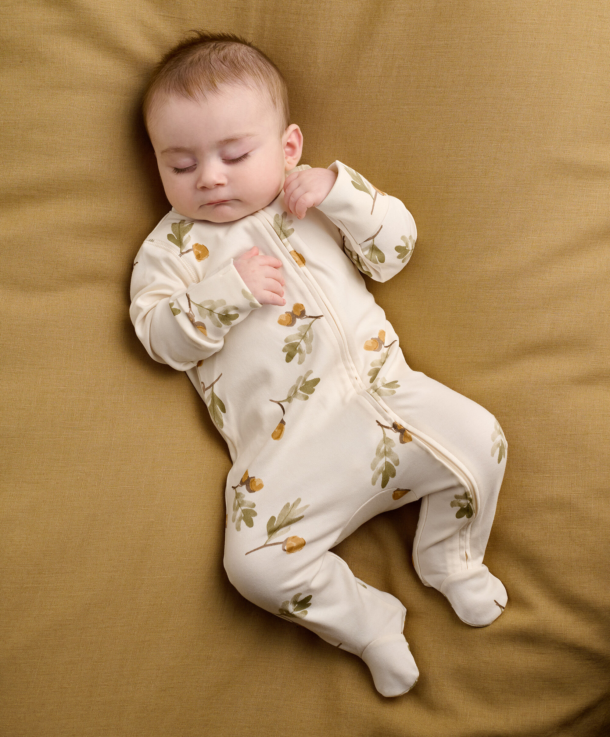 Acorn Print Zip Aio image number 1